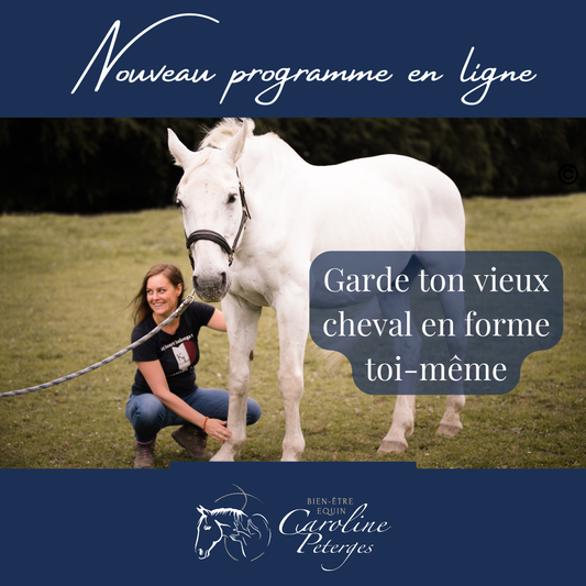 Programme : Garde ton vieux cheval en forme toi-même